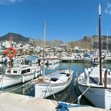 Owl Alejandra - Family And Friends * Port de Pollenca